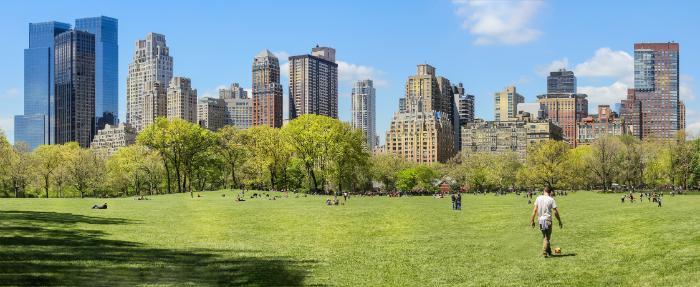 Briana Nutrition | Diabetes, Nutritionist Near Me A Guide to Wellness in NYC and Obesity