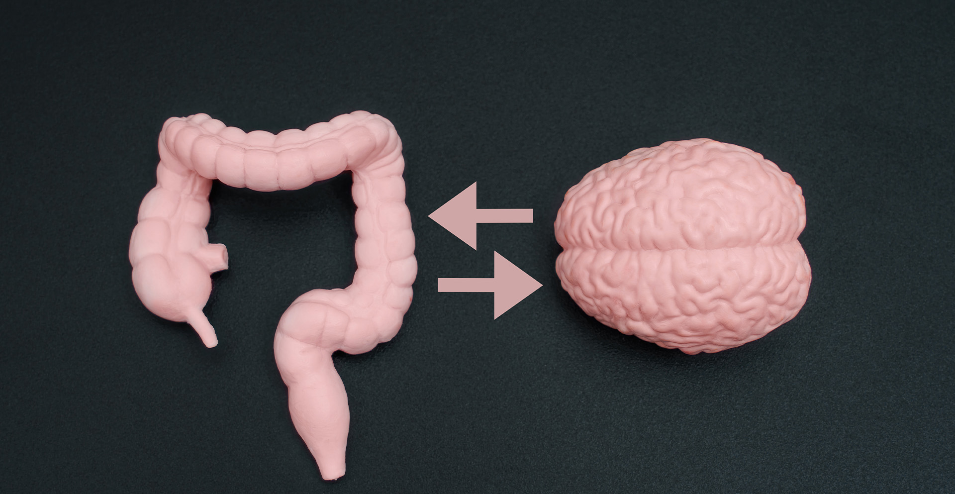 Briana Nutrition | Prenatal/Postnatal Nutrition, Weight Loss and Nutritionist Near Me: A Guide to Wellness in NYC